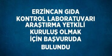 28223255762162320512tasarimli