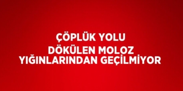28223260442913621049tasarimli