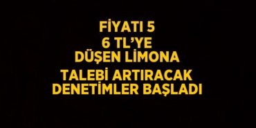 28228203872327729335tasarimli