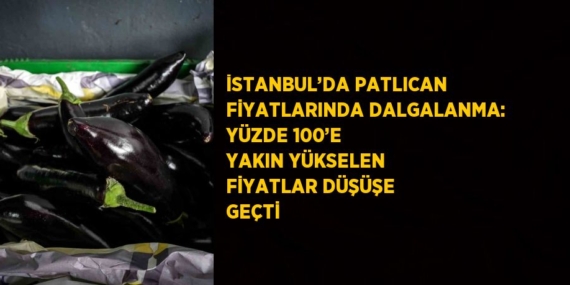 İSTANBUL’DA PATLICAN FİYATLARINDA DALGALANMA: YÜZDE 100’E YAKIN YÜKSELEN FİYATLAR DÜŞÜŞE GEÇTİ