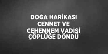 28232234582455329742tasarimli