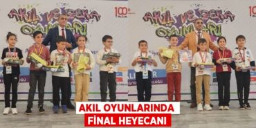 28242243272374427160tasarimli