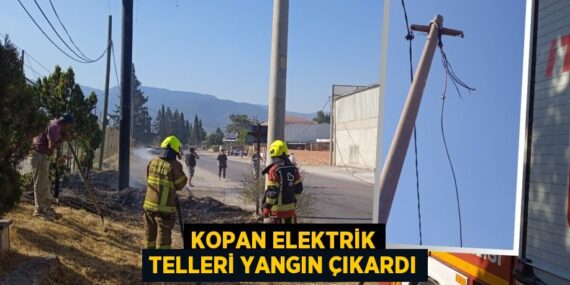 Kopan elektrik telleri yangın çıkardı