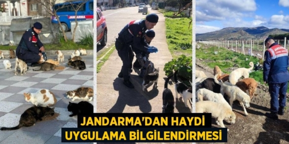 JANDARMA’DAN HAYDİ UYGULAMA BİLGİLENDİRMESİ