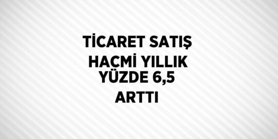 TİCARET SATIŞ HACMİ YILLIK YÜZDE 6,5 ARTTI