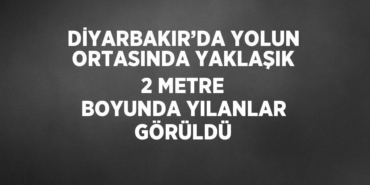 28250271052842320047tasarimli