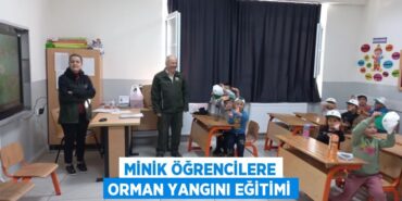 28250300533192331739tasarimli