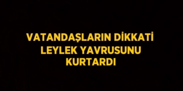 28255274372006425139tasarimli