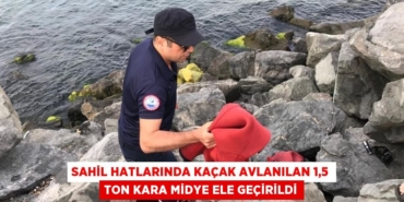 28266318402620327418tasarimli