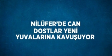 28270204502472821424tasarimli