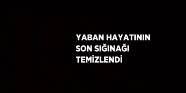 28271215082087521299