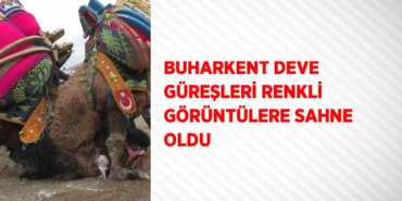 28275219033172524331