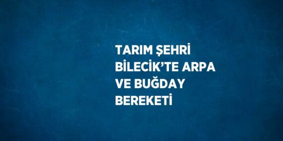 TARIM ŞEHRİ BİLECİK’TE ARPA VE BUĞDAY BEREKETİ