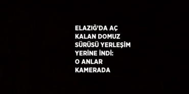 28296311122109120871