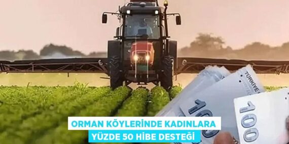 ORMAN KÖYLERİNDE KADINLARA YÜZDE 50 HİBE DESTEĞİ