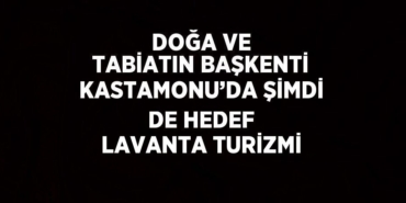 28304263252542421907tasarimli