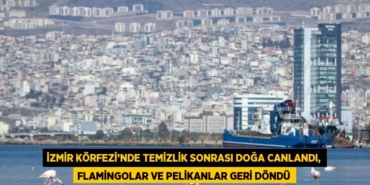 28306271922741829755tasarimli