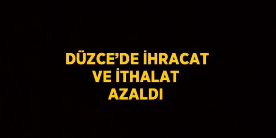 DÜZCE’DE İHRACAT VE İTHALAT AZALDI