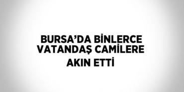 28317311612228026375tasarimli