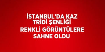 28318238622489624447tasarimli