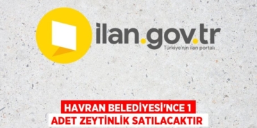 28321238052048321396tasarimli