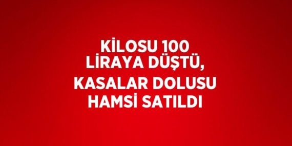 KİLOSU 100 LİRAYA DÜŞTÜ, KASALAR DOLUSU HAMSİ SATILDI
