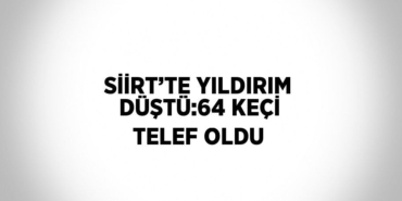 28325274352443731578tasarimli