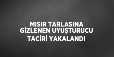 28334253263145523229tasarimli
