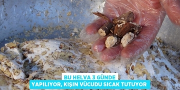 28340300562673923722tasarimli