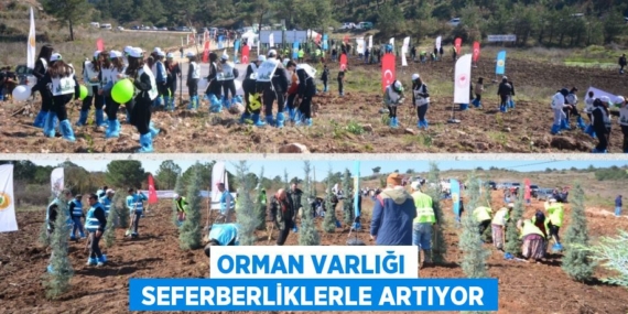 ORMAN VARLIĞI  SEFERBERLİKLERLE ARTIYOR