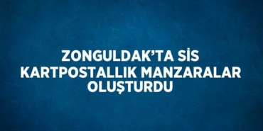 28345224742215021817tasarimli