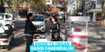 28350223972002025359tasarimli