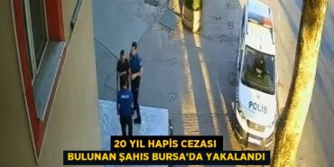28350288482065120094tasarimli