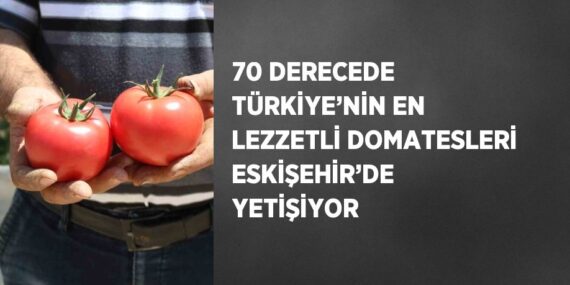 70 DERECEDE TÜRKİYE’NİN EN LEZZETLİ DOMATESLERİ ESKİŞEHİR’DE YETİŞİYOR