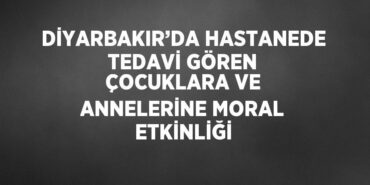 28356214202357222503tasarimli