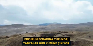 28359200742121424354tasarimli