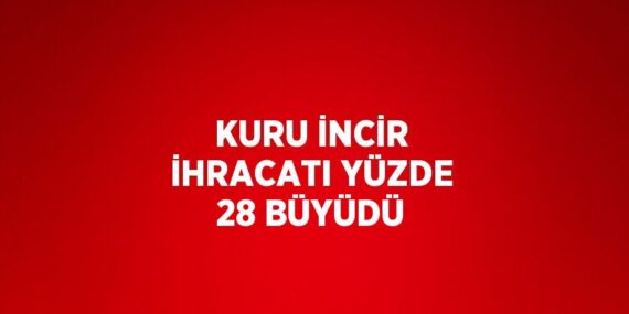 KURU İNCİR İHRACATI YÜZDE 28 BÜYÜDÜ
