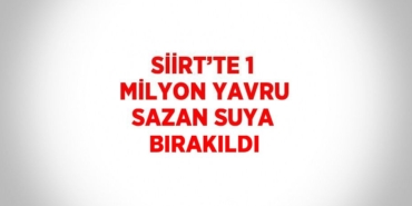 28371273972856828015tasarimli