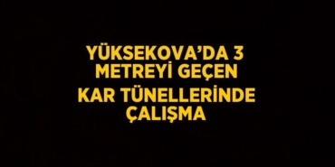 28386317582758322138tasarimli