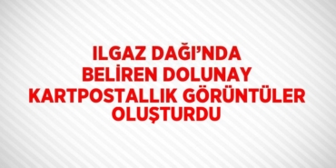 28394225303099629364tasarimli