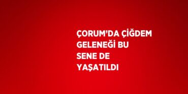 28399227533014321143