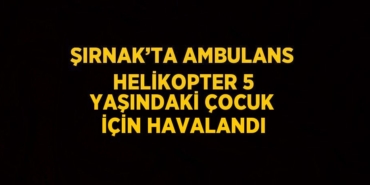 28407221192438728730tasarimli