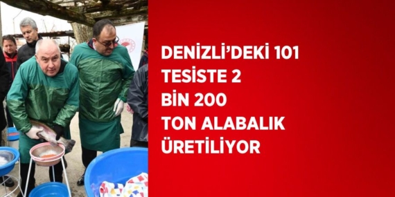 DENİZLİ’DEKİ 101 TESİSTE 2 BİN 200 TON ALABALIK ÜRETİLİYOR