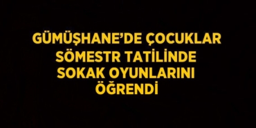 28418258712088331556tasarimli