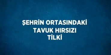 28419292922822929768tasarimli