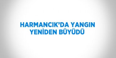 28421297362329521973tasarimli