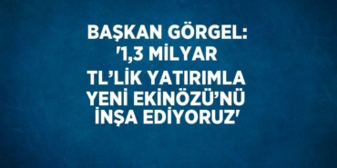 28429268252157720953tasarimli