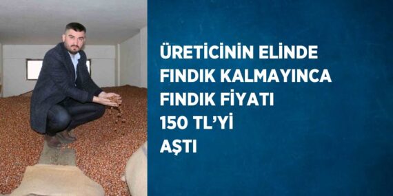 ÜRETİCİNİN ELİNDE FINDIK KALMAYINCA FINDIK FİYATI 150 TL’Yİ AŞTI