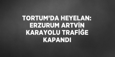 28452279652698420473tasarimli