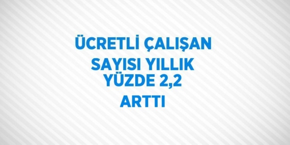 ÜCRETLİ ÇALIŞAN SAYISI YILLIK YÜZDE 2,2 ARTTI